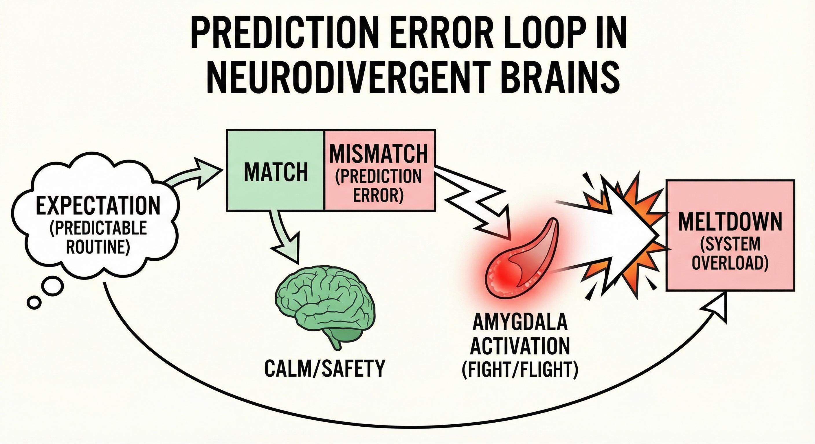[Visual: Diagram showing the 'Prediction Error' loop: Expectation -> Mismatch -> Amygdala Activation -> Meltdown]